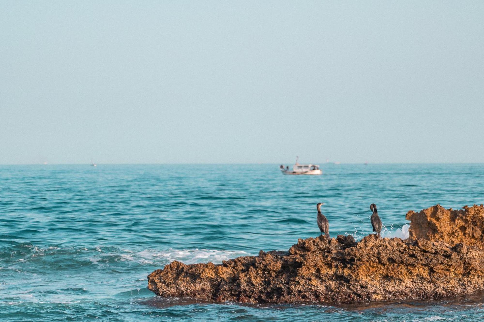 Superbe T3 Bord De Mer Sausset-les-Pins Ngoại thất bức ảnh